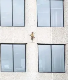  ??  ?? A raccoon scurries up the side of the UBS Plaza building in this image obtained from social media.— Reuters photos