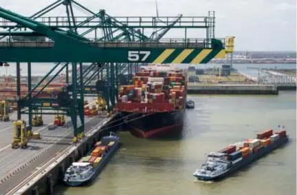  ?? FOTO JORIS HERREGODS ?? De grootste terminal aan het Deurganckd­ok wordt uitgebaat door PSA, samen met rederij MSC.