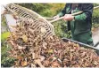  ?? FOTO: DPA ?? Der Herbst macht viel Arbeit. Gartenbesi­tzer wissen das.