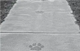  ?? CHRIS POTTER ?? Footprints from the former Bryant Elementary School in Hornell still stand on the sidewalk outside the new Bryant School Apartments on Terry Street, preparing to open to tenants in early October.