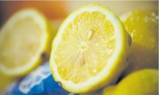  ?? ?? El 90% del limón exportado por la Argentina se produce en Tucumán