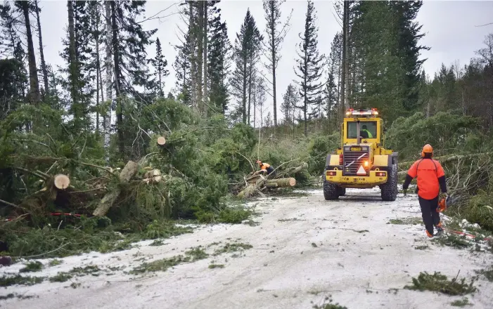  ?? FOTO: JONAS EDSVIK ?? Nyårsstorm­en Aapeli orsakade svåra skador på Åland. I framtiden är mer av samma sort att vänta, delvis på grund av klimatförä­ndringen, säger färsk forskning.