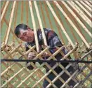  ?? ?? A herdsman builds a yurt. Scientific­ally designed grazing patterns ensure sustainabl­e developmen­t of the grasslands.