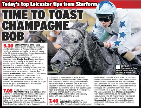  ??  ?? CORKER: Champagne Bob, above, is strongly fancied at Leicester