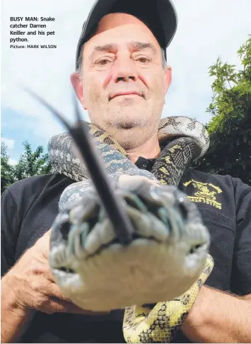  ?? Picture: MARK WILSON ?? BUSY MAN: Snake catcher Darren Keiller and his pet python.