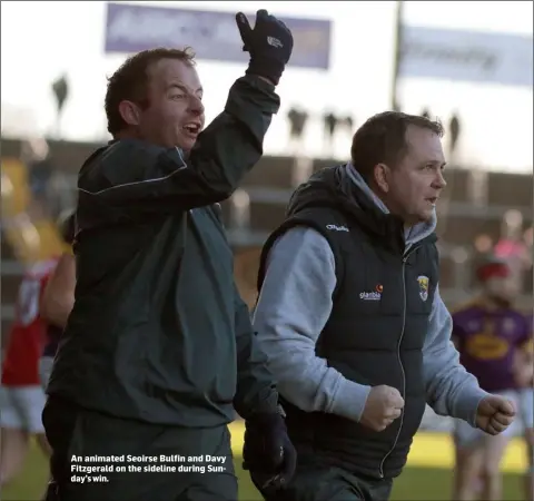  ??  ?? An animated Seoirse Bulfin and Davy Fitzgerald on the sideline during Sunday’s win.