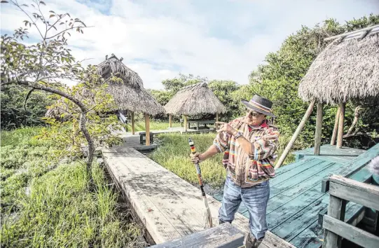  ?? PATRICK FARRELL For WLRN ?? Miccosukee elder Michael Frank visits his family’s tree island where he spent part of his youth.