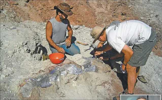  ?? GZA: FUNDACION AZARA ?? EXPEDICION. Apesteguía y Makovicky enyesando los huesos fósiles del dinosuario hallado en la provincia de Río Negro.