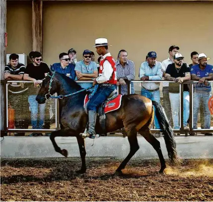  ?? Alexandre Rezende/Folhapress ?? Cavalo da raça mangalarga marchador participa de feira em Belo Horizonte (MG)