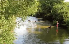  ??  ?? Der naturnahe Fluss Paar hat sich noch an vielen Stellen seine Unberührth­eit bewahrt.