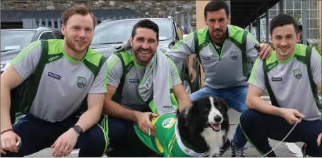  ??  ?? Helping ‘Shep’ in his quest for ‘Nose of Tralee’ title were Kerry footballer­s Brendan Kealy, Bryan Sheehan, Anthony Maher and Paul Murphy