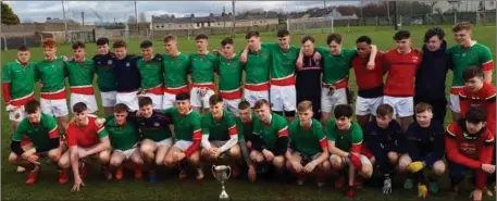  ??  ?? The Patrician Academy Mallow senior football panel that won the Munster SFC ‘B’ Final (Corn Dhonnacha Ui Nuanain) title