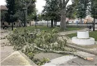  ??  ?? ▶▶ Un árbol caído en Fuentesaúc­o (Zamora) por el viento.