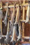  ??  ?? Stockfish traditiona­lly hangs to dry for months in the Lofoten Islands.