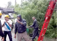  ??  ?? Felling a tree that had come down for the strong winds in the north. Pic by N. Lohathayla­n