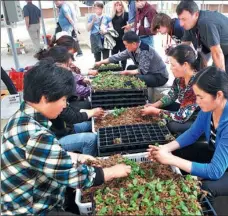  ?? WANG QIANG / FOR CHINA DAILY ?? Xiaogang village founded an argicultur­e and forestry industrial park in 2014, and has been training local farmers.