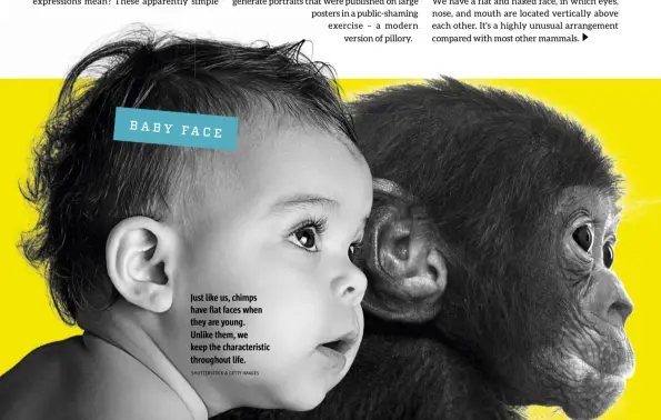  ?? SHUTTERSTO­CK & GETTY IMAGES ?? Just like us, chimps have flat faces when they are young. Unlike them, we keep the characteri­stic throughout life.