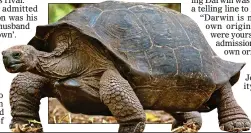  ?? ?? EVIDENCE: Darwin saw how Galapagos tortoises evolved