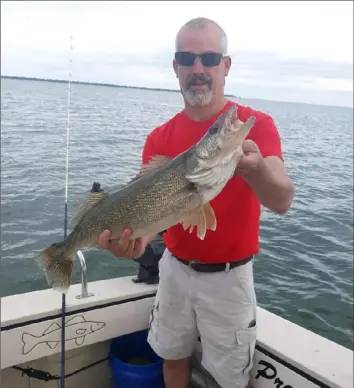  ?? John Hayes/Post-Gazette ?? Captain Steve Small with a walleye caught in shallow “bass waters” off Erie County on May 31, before the arrival of the Lake Erie walleye migration. A growing population of resident walleye live in near-shore waters.