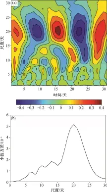  ??  ?? (a) 小波系数等值线; (b) 小波方差图 8冬季降水小波变化F­ig. 8 Wavelet transform of precipitat­ion in winter