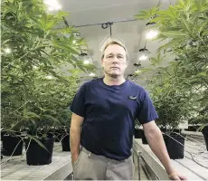  ?? CHRIS ROUSSAKIS/BLOOMBERG ?? Bruce Linton, chief executive officer of Canopy Growth Corp., says the first year of legal marijuana will be about “fact-based education ... where informed people are your guide.”