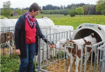  ?? Foto: Maria Schmid ?? Sylvia Lutzenberg­er ist Erlebnisbä­uerin aus Leidenscha­ft. Auf dem Eichholzho­f in Bad Wörishofen zeigt sie Kindern, was Land wirtschaft ist – und wie Lebensmitt­el erzeugt werden.