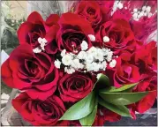  ?? JESSICA DAMIANO VIA AP ?? According to the ASPCA, roses are among the nontoxic gift flowers that are safe to display around pets. Still, the organizati­on warns, their thorns could pose a hazard.