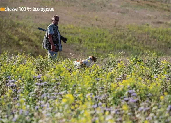  ??  ?? Par endroits, ces chaumes de fin d’été s’apparenten­t à des champs fleuris.