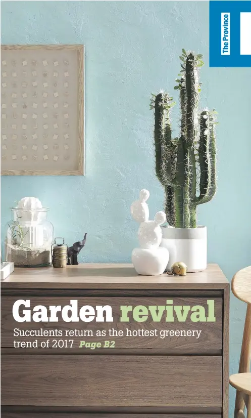  ?? — HOMESENSE ?? A cactus can add an unexpected modern decor element to a room — plus, they are easy to care for.