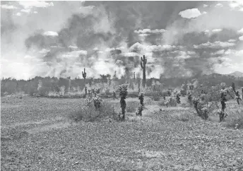  ??  ?? The White Wing Fire was burning June 6 near Wittmann, about 35 miles northwest of central Phoenix.