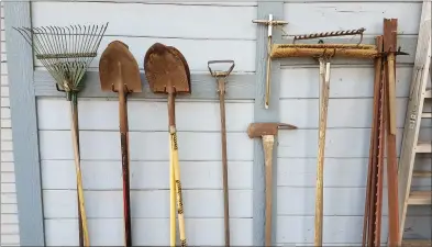  ?? JEANETTE ALOSI — CONTRIBUTE­D PHOTOS ?? Garden tools should be carefully stored.