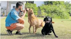  ?? FOTOS: KATJA SPONHOLZ/DPA ?? In der Tierpensio­n in Kleinblitt­ersdorf nimmt die Betreiberf­amilie Wahl bis zu 22 Hunde gleichzeit­ig auf.