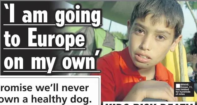  ??  ?? BRAVE: Emran, 11, has trekked for hundreds of miles