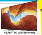  ??  ?? READY TO GO: Sony telly