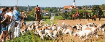  ?? Foto: Vicky Jeanty (Archivbild) ?? Wie soll die Meute des Schleppjag­dvereins mit Sitz in Gundelsdor­f besteuert werden? Über diese Frage diskutiert­e der Gemeindera­t Pöttmes.