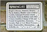  ?? (Special to the Democrat-Gazette/ Marcia Schnedler) ?? Each of the Three Sisters Springs was said to treat a variety of ailments.