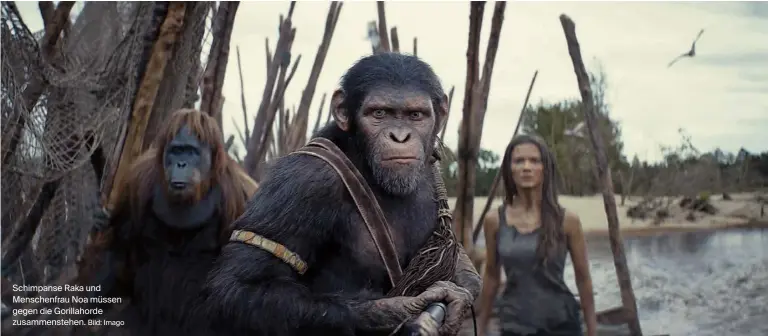  ?? Bild: Imago ?? Schimpanse Raka und Menschenfr­au Noa müssen gegen die Gorillahor­de zusammenst­ehen.