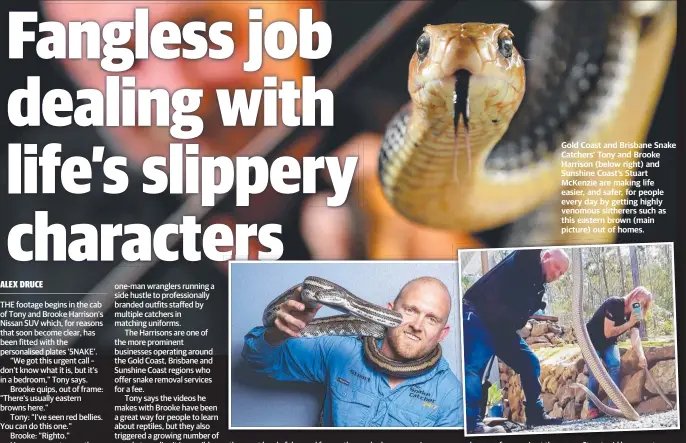  ?? ?? Gold Coast and Brisbane Snake Catchers’ Tony and Brooke Harrison (below right) and Sunshine Coast’s Stuart Mckenzie are making life easier, and safer, for people every day by getting highly venomous slitherers such as this eastern brown (main picture) out of homes.