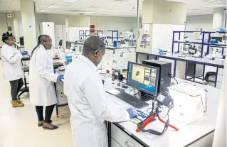  ??  ?? BELOW
A technician collects a sample of cannabidio­l (CBD).