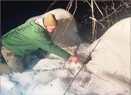  ?? Erin Hedden / Contribute­d photo ?? Brad Hedden, Cornwall’s animal control officer, rescues a guinea pig in the snow.