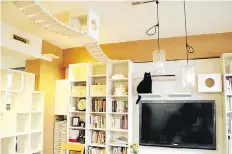  ?? JAPAN NEWS ?? Akemi Mizushina's living room in Tokyo has a suspension bridge catwalk and a platform on the TV that serve as a pathway for her cats.