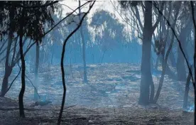  ?? Picture / AAP ?? Burned land at Carrum Downs in Melbourne, Victoria.