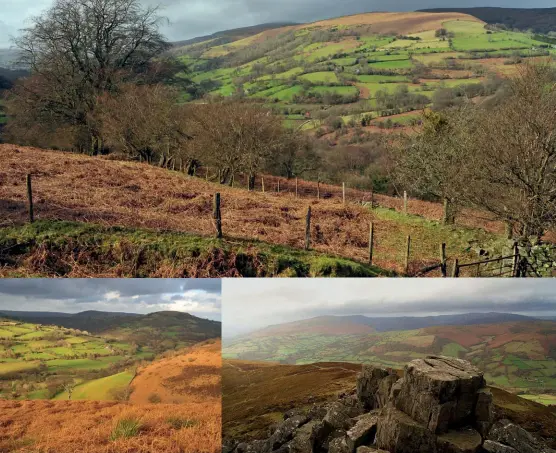  ??  ?? Cribyn & N escarpment from Pen y Fan
[Captions clockwise from top]