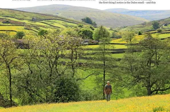  ??  ?? ▼ PATHS OF GOLD
The walk into Keld routes you over the lovely hill of Kisdon – a gorgeous dessert course to the day.