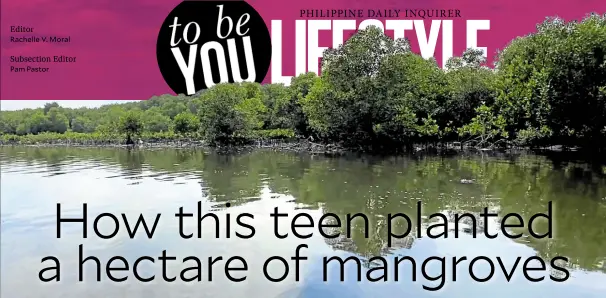  ?? ?? The mangrove trees in Noveleta, Cavite