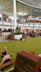  ??  ?? The naturally lit grand “lawn” at Brisbane Airport brings the outdoors in.