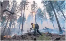  ??  ?? Larry Martinez of the National Forest Service lights a prescribed burn in the Santa Fe watershed in September 2015. EDDIE MOORE/JOURNAL