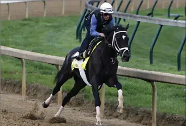  ?? GARRY JONES, THE ASSOCIATED PRESS ?? Jockey John Velazquez puts Always Dreaming through a workout at Churchill Downs in Louisville, Ky., last month. Always Dreaming is trained by Todd Pletcher, who will be saddling the Kentucky Derby winner and Triple Crown hopeful on Saturday.