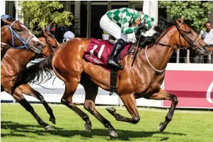  ??  ?? TALENTED. Live Life has done her owners proud and the four-year-old filly looks the main threat to stablemate Magical Wonderland in Sunday’s Grade 3 Poinsettia Stakes over 1100m at Scottsvill­e.