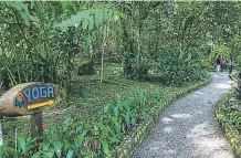  ??  ?? En el Hotel The Lodge At Pico Bonito se disfruta de diferentes actividade­s como el recorrido por varios senderos, visita a la finca de mariposas y el serpentari­o. Celular 2440-0388/0389.